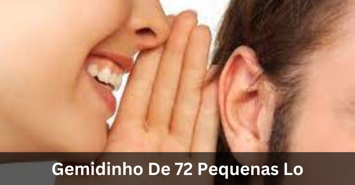 Gemidinho De 72 Pequenas Lo