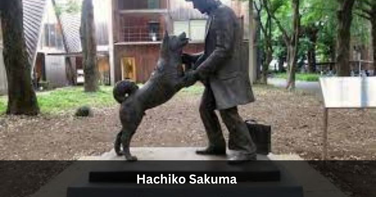 Hachiko Sakuma