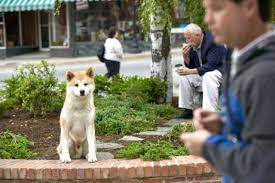 Dr. Ueno's Passing and Hachiko's Unwavering Commitment: